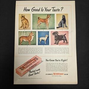 Vintage Clark’s Teaberry Gum Ad – 1947 – “How Good Is Your Taste?” Dogs Theme